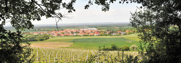 Abtswind aus dem Wald